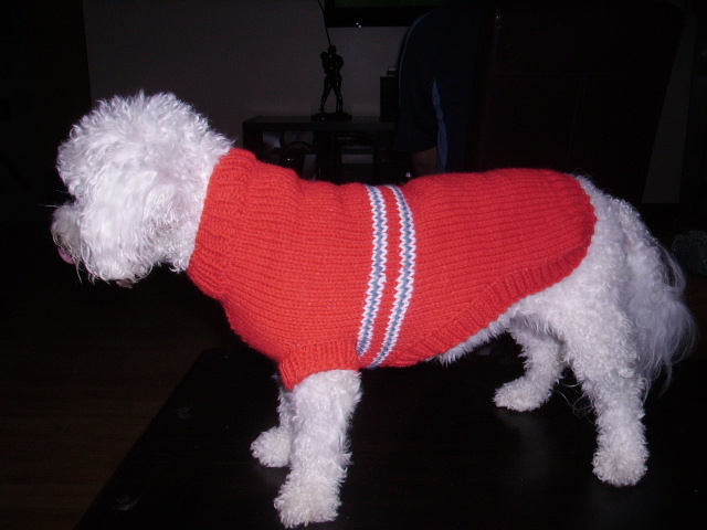 Sweaters - Bijou Dog Fashions