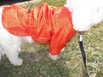 kway raincoats - Bijou Dog Fashions