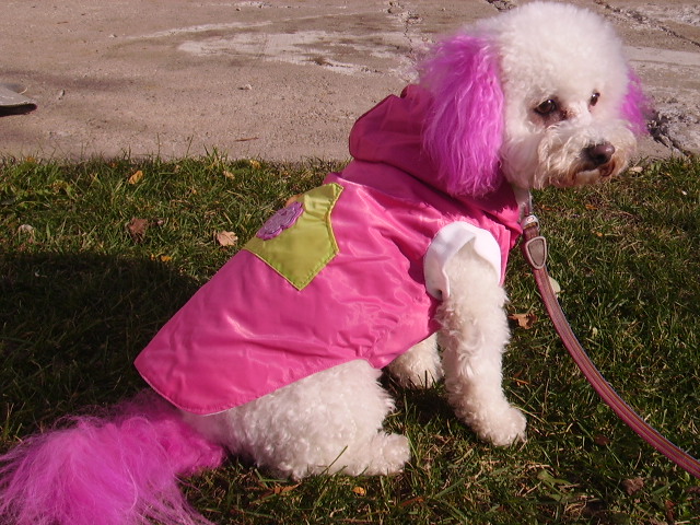 hot pink raincoat - Bijou Dog Fashions