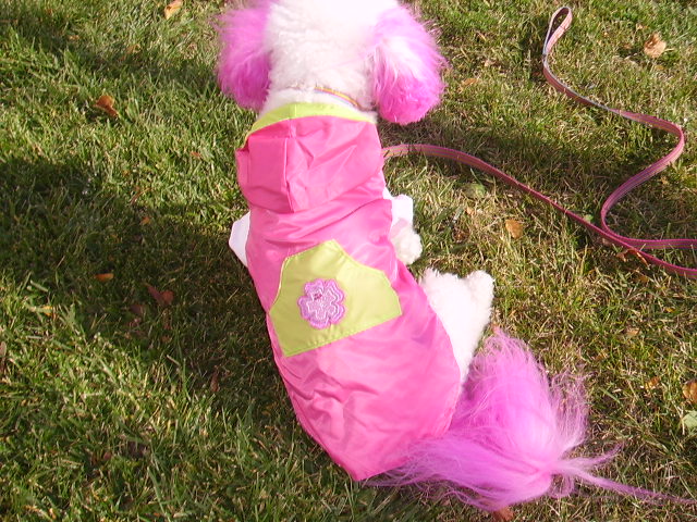 hot pink raincoat - Bijou Dog Fashions
